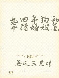 九四年狗和九五年猪婚姻怎样封面