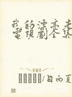 我的漂亮老师2电视剧全集免费观看