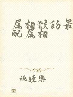 属相猴的最佳婚配属相
