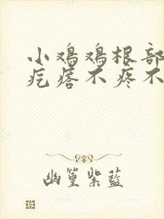 小鸡鸡根部有小疙瘩不疼不痒