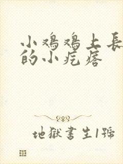 小鸡鸡上长黑色的小疙瘩