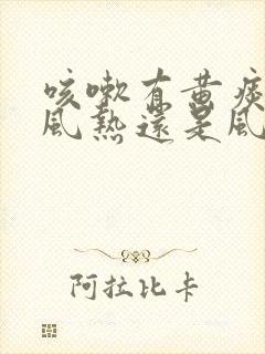 咳嗽有黄痰属于风热还是风寒封面