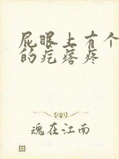 屁眼上有个硬硬的疙瘩疼