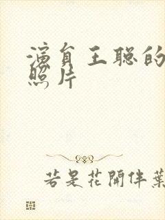 演员王聪的老婆照片