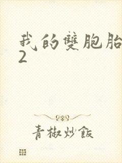 我的双胞胎姐妹2封面