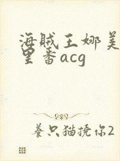 海贼王娜美本子里番acg