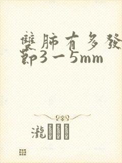 双肺有多发小结节3一5mm