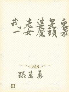 我老婆是东晋第一女魔头最txt下载