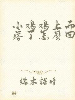 小鸡鸡上面长疙瘩了怎么回事