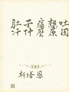 肚子痛想吐冒冷汗什么原因