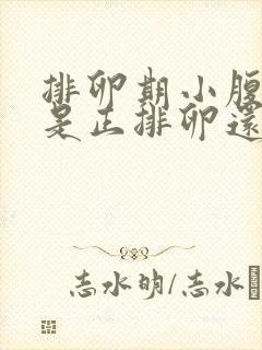 排卵期小腹坠疼是正排卵还是已经排了