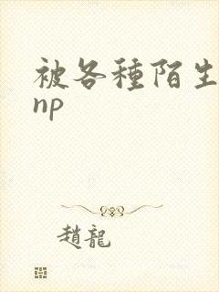 被各种陌生人 np