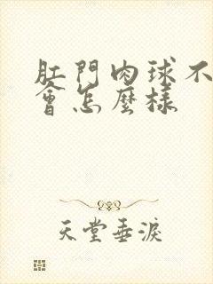 肛门肉球不治疗会怎么样封面