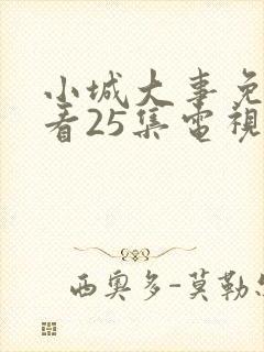 小城大事免费观看25集电视剧封面