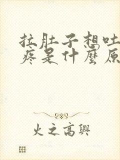 拉肚子想吐肚子疼是什么原因封面