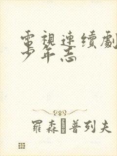 电视连续剧大宋少年志