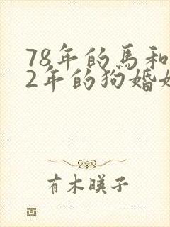 78年的马和82年的狗婚姻好不好