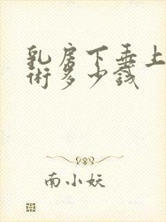 乳房下垂上提手术多少钱