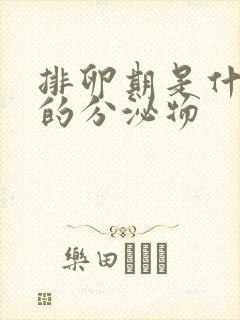 排卵期是什么样的分泌物