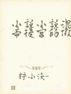 小说小说混在女帝后宫的假太监
