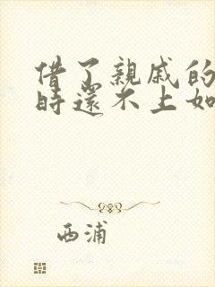 借了亲戚的钱暂时还不上如何跟亲戚说明白