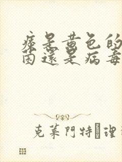 痰是黄色的是细菌还是病毒封面