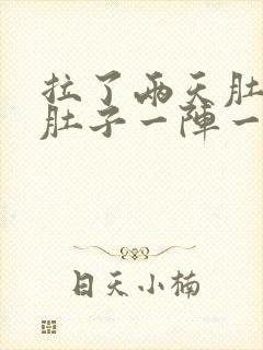 拉了两天肚子了肚子一阵一阵的痛