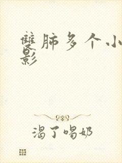 双肺多个小结节影