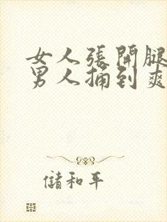 女人张开腿 让男人捅到爽