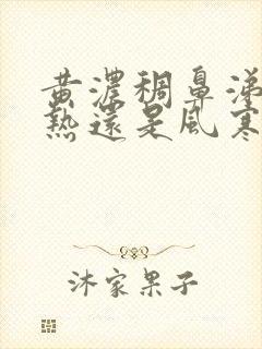 黄浓稠鼻涕是风热还是风寒