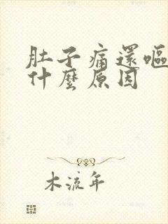 肚子痛还呕吐是什么原因封面