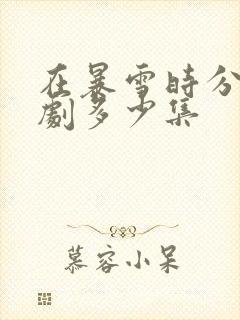 在暴雪时分电视剧多少集封面