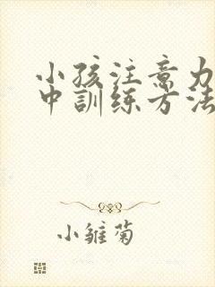 小孩注意力不集中训练方法