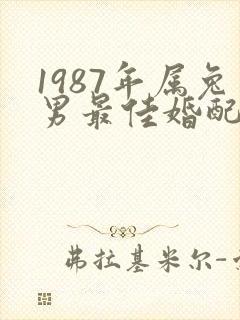 1987年属兔男最佳婚配属相