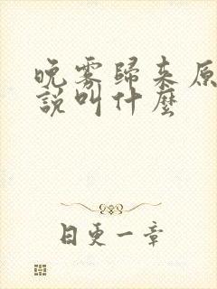 晚雾归来原著小说叫什么