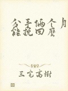 分手俩个月还可能挽回么