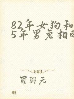 82年女狗和75年男兔相配婚姻如何