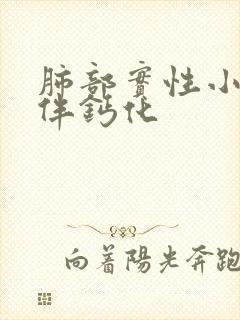 肺部实性小结节伴钙化