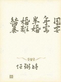 结婚半年因为家暴离婚需要退彩礼吗