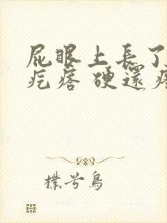 屁眼上长了一个疙瘩 硬还疼封面