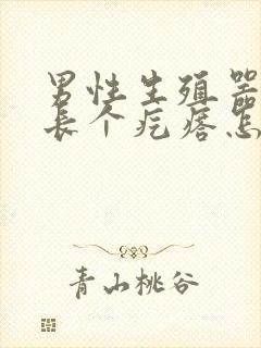 男性生殖器根部长个疙瘩怎么回事封面