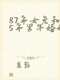 87年女兔和85年男牛婚姻