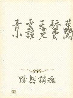 青云天骄叶正阳小说免费阅读