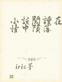 小说阅读在他深情中陨落