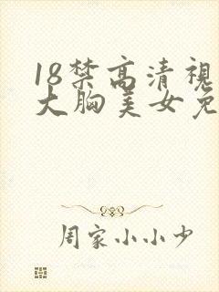 18禁高清视频大胸美女免费网站