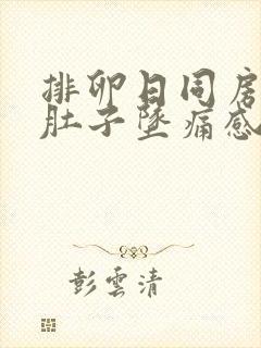 排卵日同房后小肚子坠痛感