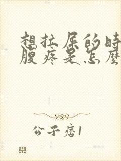 想拉屎的时候小腹疼是怎么回事封面