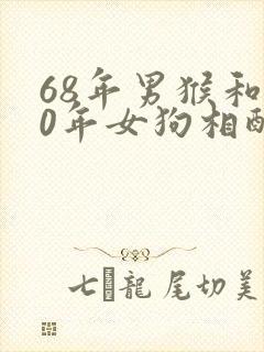 68年男猴和70年女狗相配吗