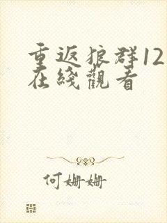 重返狼群12集在线观看封面