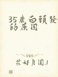 35岁白头发多的原因封面